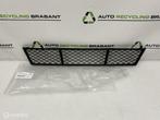 Bumpergrille BMW 5 Serie F10 F11 NIEUW ORIGINEEL 51117285950, Gebruikt, Ophalen of Verzenden, BMW, BMW