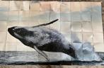 IXXI walvis 100x180, Ophalen