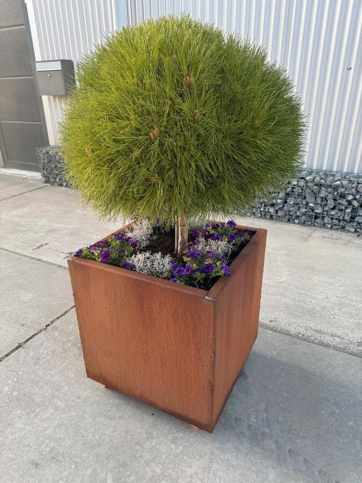 Cortenstaal plantenbak, Tuin en Terras, Bloembakken en Plantenbakken, Metaal, Ophalen