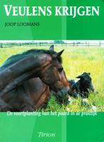Veulens krijgen - Joop Loomans Over de vruchtbaarheid bij pa, Verzenden, Gelezen, Paarden of Pony's, Joop Loomans