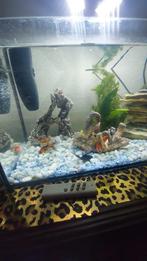 Aquarium 60 bij 30 met alles erop  20,00, Dieren en Toebehoren, Vissen | Aquaria en Toebehoren, Ophalen, Zo goed als nieuw, Leeg aquarium