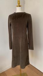 Velours jurk van ZUSSS. Maat S, Ophalen of Verzenden, Zo goed als nieuw, Maat 36 (S), Boven de knie