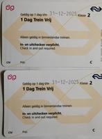 2 NS Dagkaarten samen 60 euro een dag onbeperkt ook spits, Tickets en Kaartjes, Trein, Bus en Vliegtuig, Twee personen, Trein