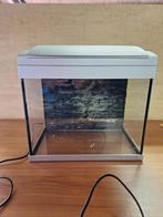 AQUARIUM 35 x 22,5 x hoog 39 cm, Dieren en Toebehoren, Ophalen, Gebruikt, Leeg aquarium