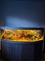 2 meter aquatlantis halfrond rechte achterkant, Dieren en Toebehoren, Vissen | Aquaria en Toebehoren, Ophalen, Zo goed als nieuw