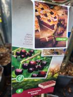 Fruitbomen te koop mega deal, Volle zon, 100 tot 250 cm, Zomer, Overige soorten