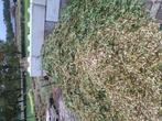 Houtsnippers te koop, Ophalen, Bruin, Overige typen