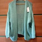 Nieuw grof gebreid vest met wol t/m maat 44, Kleding | Dames, Overige kleuren, Verzenden, -, Maat 42/44 (L)