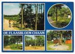 Chaam De Flaasbloem Vakantiepark Ansichtkaart (B2455 ), Ophalen of Verzenden, 1980 tot heden, Gelopen
