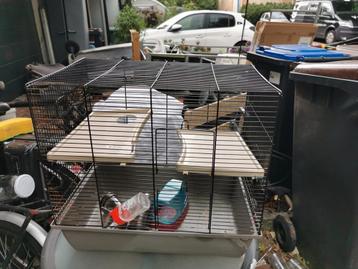 hamster kooi  beschikbaar voor biedingen