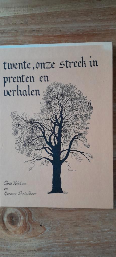 Twente, onze streek in prenten en verhalen, Boeken, Streekboeken en Streekromans, Gelezen, Overijssel, Ophalen of Verzenden