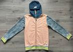 Vingino hoodie vest maat 14 - maat 164, Ophalen of Verzenden, Zo goed als nieuw, Jongen, Trui of Vest
