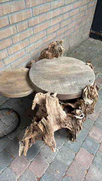 Unieke boomstam salontafel beschikbaar voor biedingen