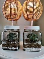 2 mooie nieuwe glazen lampen met decoratie, Ophalen