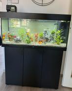 Juwel aquarium Rio 180L Led Zwart incl.veel filters & meubel, Ophalen, Zo goed als nieuw, Leeg aquarium