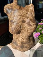 Torso borstbeeld buste, Ophalen