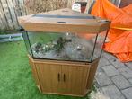 Hoek aquarium, Dieren en Toebehoren, Ophalen, Gebruikt, Leeg aquarium