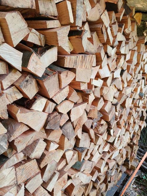 Premium brandhout / haardhout, Tuin en Terras, Haardhout, Minder dan 3 m³, Ophalen of Verzenden