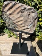 Prachtige Amethist cluster op Standaard 12 kg, Ophalen of Verzenden, Mineraal