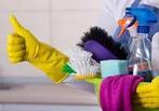 Schoonmaker, Vanaf 10 jaar, Overige vormen