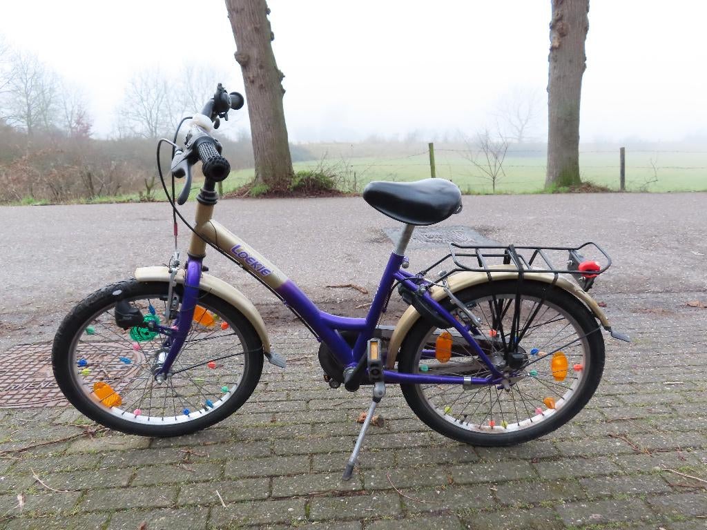 Kinderfiets 20 inch, Fietsen en Brommers, Fietsen | Kinderfietsjes, Ophalen, Gebruikt, 16 tot 20 inch, Loekie