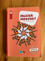 Rinze van der Lei - Muziek Meester!, Boeken, Rinze van der Lei; Lieuwe Noordam; Frans Haverkort, Ophalen of Verzenden, Zo goed als nieuw