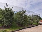 Vogelnetten+,Pootmachine Prefer,Strohakselaar,boomgaardspuit, Zakelijke goederen, Ophalen, Vollegrondsgroente, Zaaien, Planten of Poten