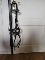 Hoofdstel zwart, 2 verschillende, Ophalen of Verzenden, Gebruikt, Recreatie