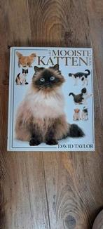 David Taylor - Het mooiste kattenboek, Boeken, Dieren en Huisdieren, Ophalen of Verzenden, Zo goed als nieuw, Katten, David Taylor
