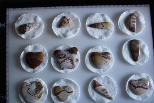 Cabochons (Wood fossil), Sieraden, Tassen en Uiterlijk, Edelstenen, Nieuw, Ophalen of Verzenden