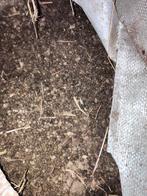 Lavagranulaat, Ophalen, Tuinaarde