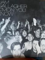 Lp liam gallagher c’mon you know oasis, Ophalen of Verzenden, Zo goed als nieuw