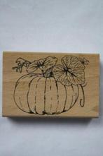 Schudstempel Pompoen 8,5x7cm, Ophalen of Verzenden, Nieuw, Houten stempel
