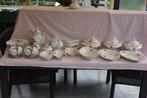 Roosjes servies ( MZ Czechoslovakia, Ophalen of Verzenden
