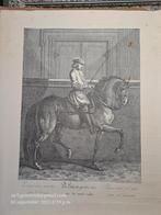 Oude Paardrijkunst Gravures van Johan E. Ridinger, Ophalen of Verzenden
