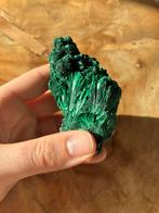 Zijde malachiet, Ophalen of Verzenden