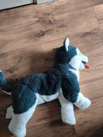 Leuke husky knuffel groot, Ophalen of Verzenden, Zo goed als nieuw, Overige typen