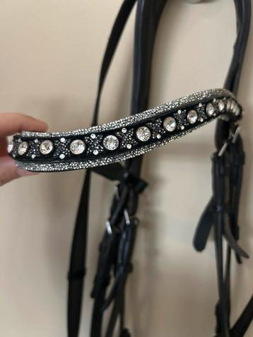 Judi swarovski frontriem en neusriem beschikbaar voor biedingen
