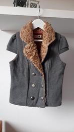 CKS bodywarmer bontje maat 8 122/128., Ophalen of Verzenden, CKS, Meisje, Overige typen