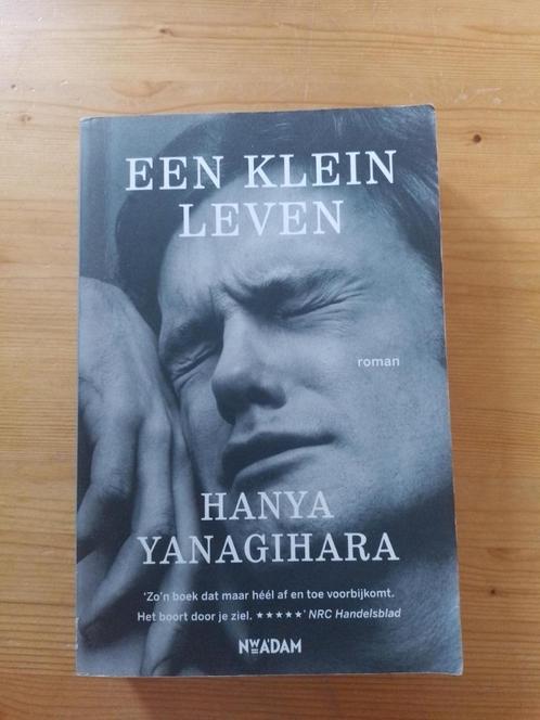 Een klein leven    Hanya Yanagihara, Boeken, Literatuur, Gelezen, Amerika, Ophalen of Verzenden