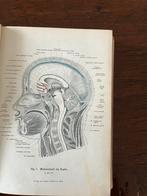 Anatomie atlas van de mens uit 1901, Ophalen of Verzenden, Zo goed als nieuw