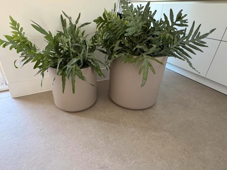 ELHO Pure Cilinder Wheels Bloempot 50 (zonder plant), Tuin en Terras, Bloempotten, Zo goed als nieuw, Kunststof, Binnen, Balkon