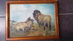 Schilderij schapen, Antiek en Kunst, Ophalen