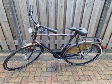 gazelle touche beschikbaar voor biedingen
