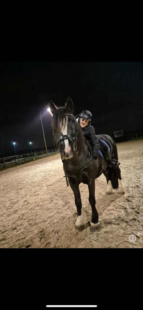 Verzorgster aangeboden!!, Dieren en Toebehoren, Paarden en Pony's | Verzorgingsproducten, Zo goed als nieuw, Ophalen of Verzenden