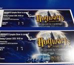 2 tickets HOGWARTS sympho show in concert, Tickets en Kaartjes, Twee personen, Januari