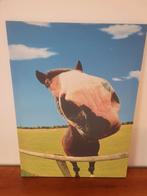 Foto paard op canvas groot paarden schilderij, Huis en Inrichting, Woonaccessoires | Schilderijen, Tekeningen en Foto's, Schilderij