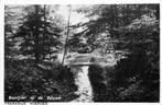 (387-140-029) Hierden Bosvijver op de Veluwe, Verzamelen, Ansichtkaarten | Nederland, Verzenden, Gelderland