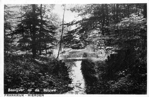 (387-140-029) Hierden Bosvijver op de Veluwe, Verzamelen, Ansichtkaarten | Nederland, Gelderland, Verzenden