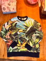 WE Trui 146/152 - Zeer Goede Staat, Kinderen en Baby's, Kinderkleding | Maat 146, Ophalen of Verzenden, Zo goed als nieuw, Jongen of Meisje